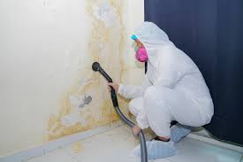 Biohazard Mold Removal in Gambier, OH